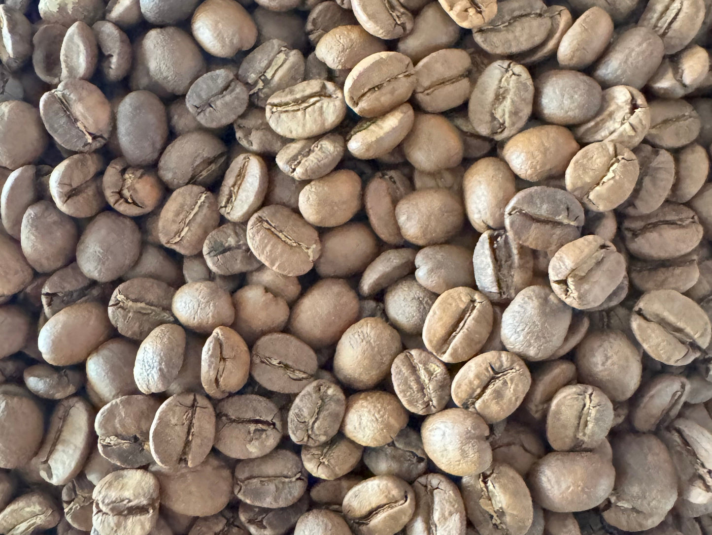 Close-up of coffee beans with a focus on texture and color.